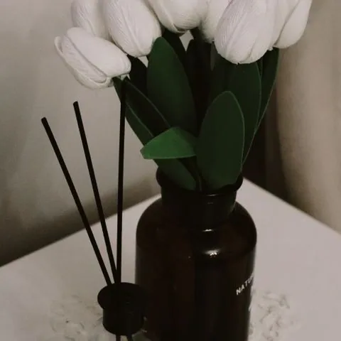 보성군 보성읍 마사지 참고 이미지