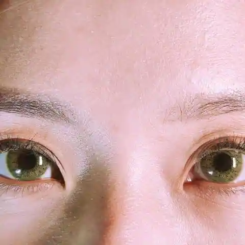 강동구 암사동 속눈썹 참고 이미지