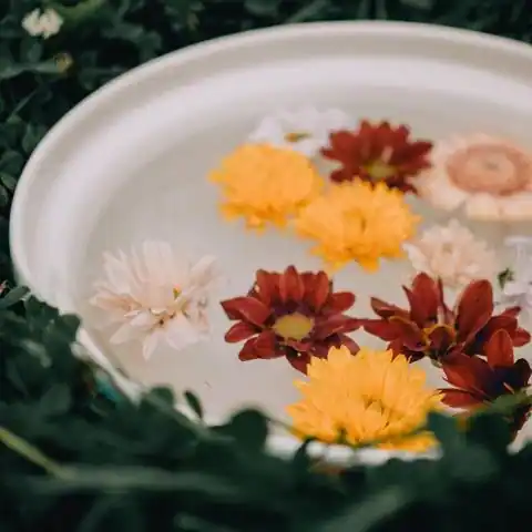 평택시 비전2동 마사지 참고 이미지