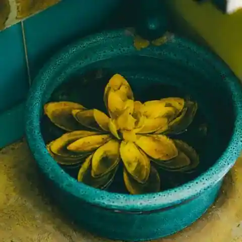 대덕구 송촌동 마사지 참고 이미지