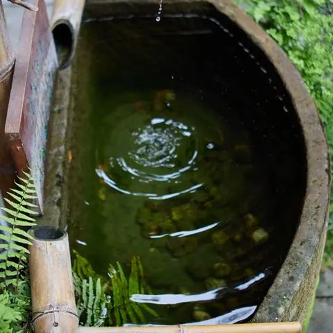 제천시 용두동 마사지 참고 이미지
