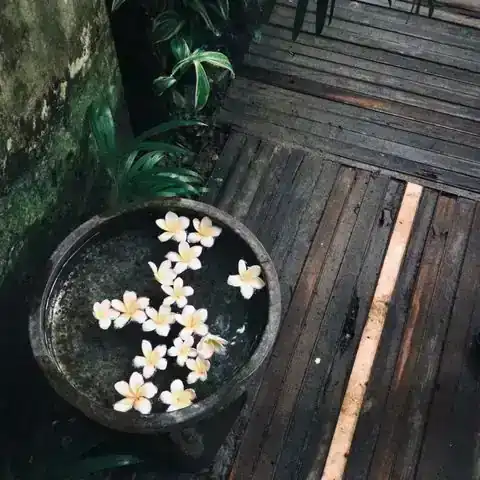 북구 침산2동 발관리 안내 이미지