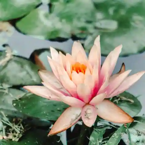 서초구 반포동 스파·사우나 참고 이미지