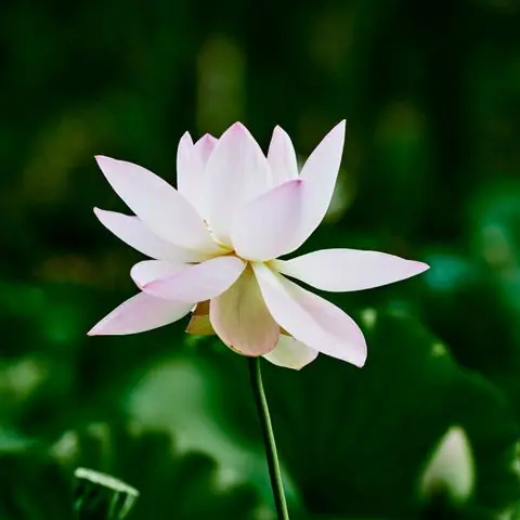 오산시 세교동 스파·사우나 참고 이미지