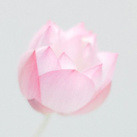 양천구 신월동 스파·사우나 참고 이미지