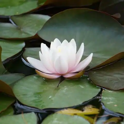 홍천군 서면 스파·사우나 참고 이미지