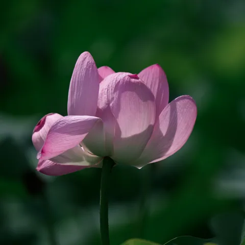 횡성군 둔내면 스파·사우나 참고 이미지